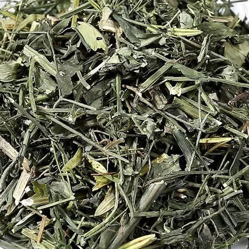 中草药穿心莲 清热解毒、凉血消肿