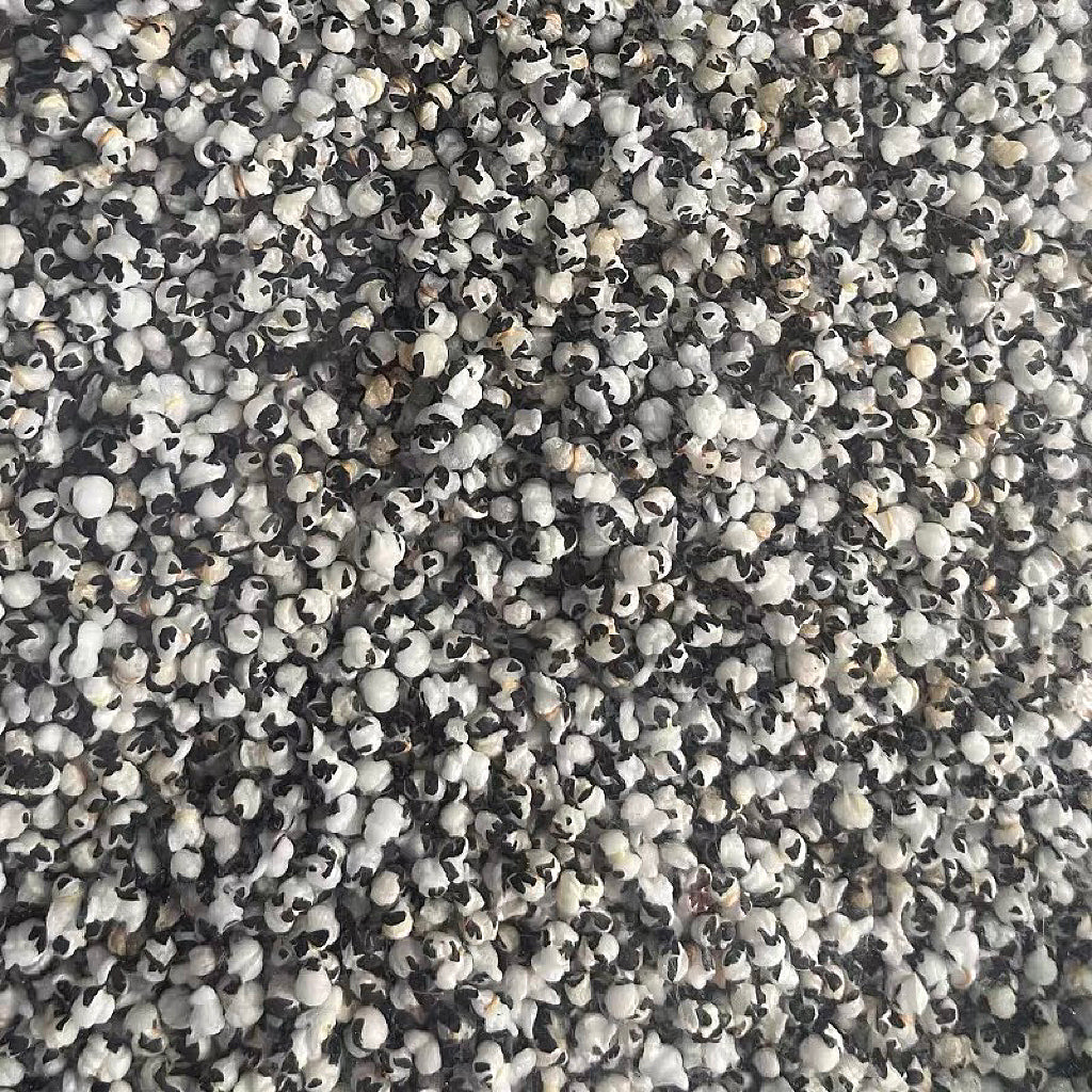 中药材 炒王不留行16oz 活血通经化瘀、通乳消肿、利尿通淋 亚洲商店11