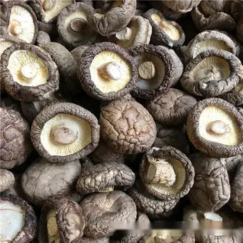 优质特级大香菇干货肉厚泡发率高又名冬茹厚菇16oz - asianstore11 亚洲商店11