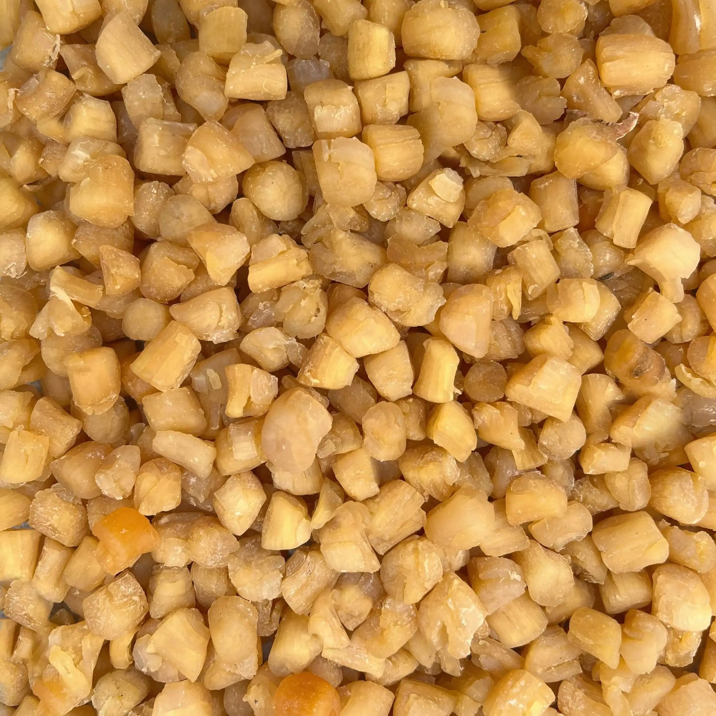 干贝瑶柱足干16oz 亚洲商店11