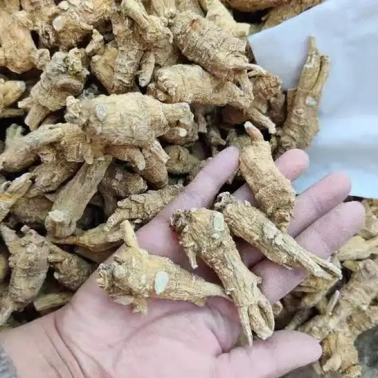 威斯康星州半野生花旗参老参头参味浓16oz asianstore11