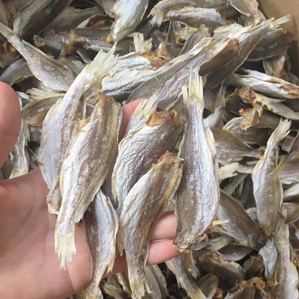 广东台山侨乡特产海味干货广海渔家自晒淡口或鱼仔16oz足干 asianstore11