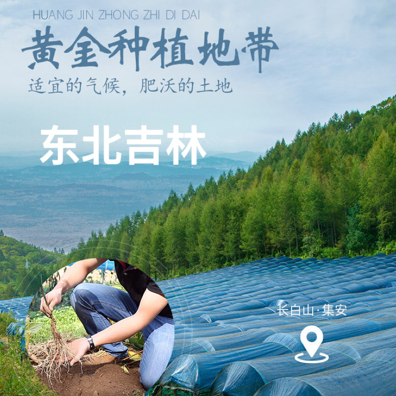 东北特产 长白山生晒人参8oz盒25支泡茶泡酒煲汤延年益寿、大补元气、改善心脏功能、健脾益肺