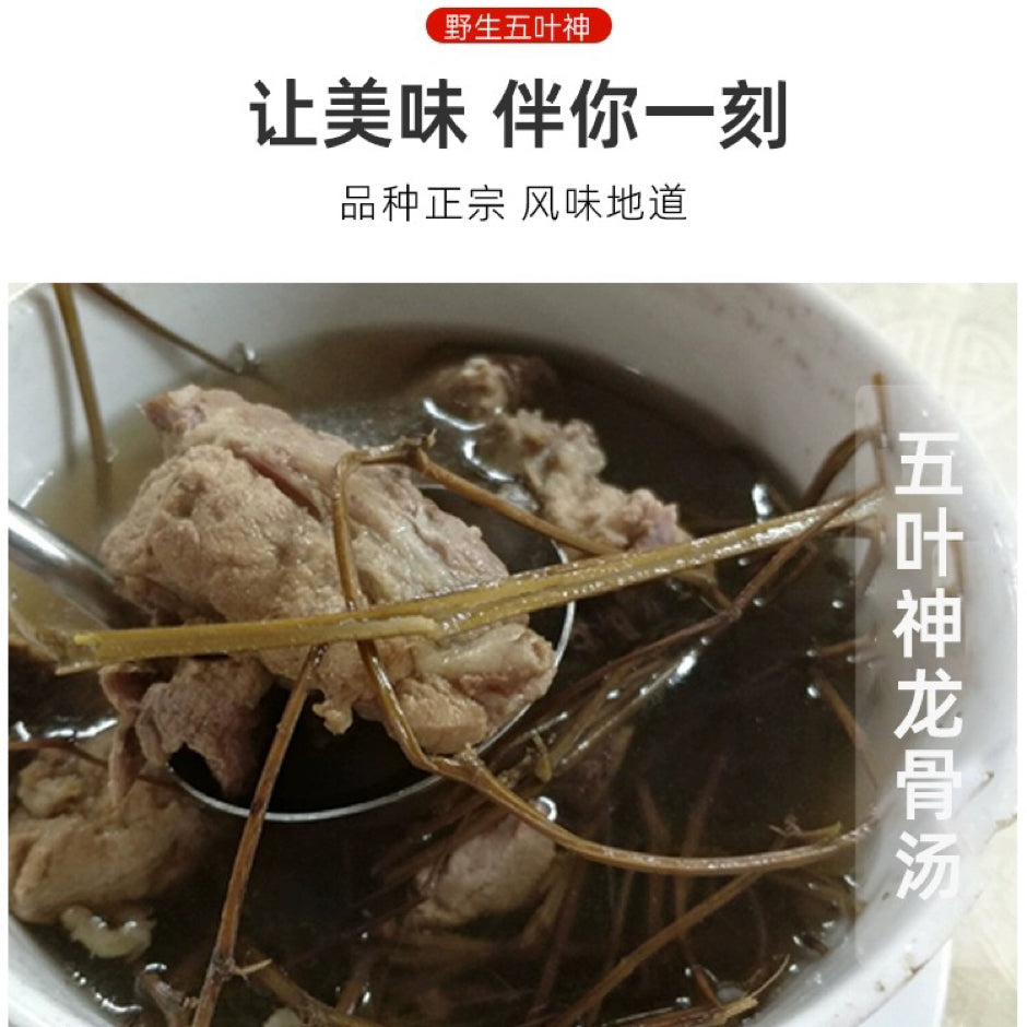 野生五叶神/不老长寿草 清热解毒、润肺止咳、养心安神、补气养阴