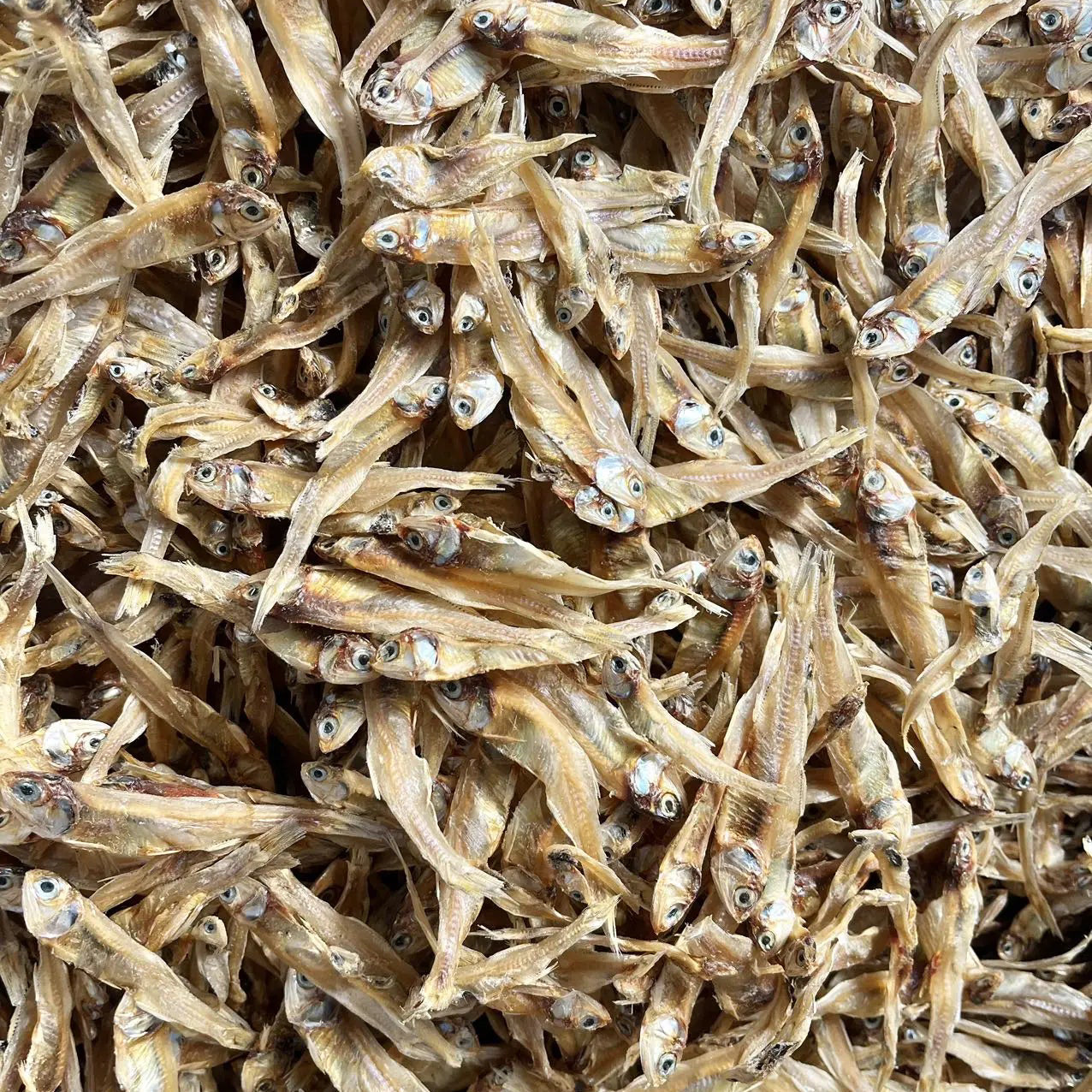 新晒淡干公鱼仔16oz 广东台山特产 台山广海