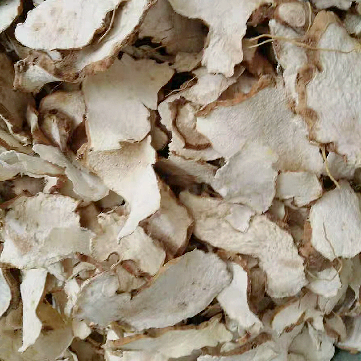 深山绵萆薢/萆薢利湿去浊、祛风除痹、清热解毒