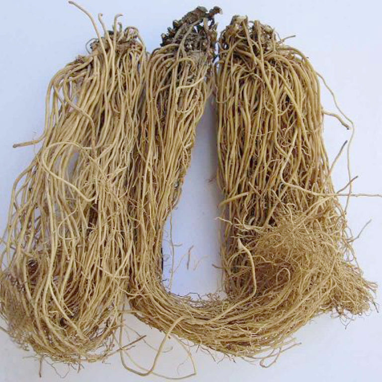 中草药辽细辛 解表散寒、祛风止痛、通窍、温肺化饮