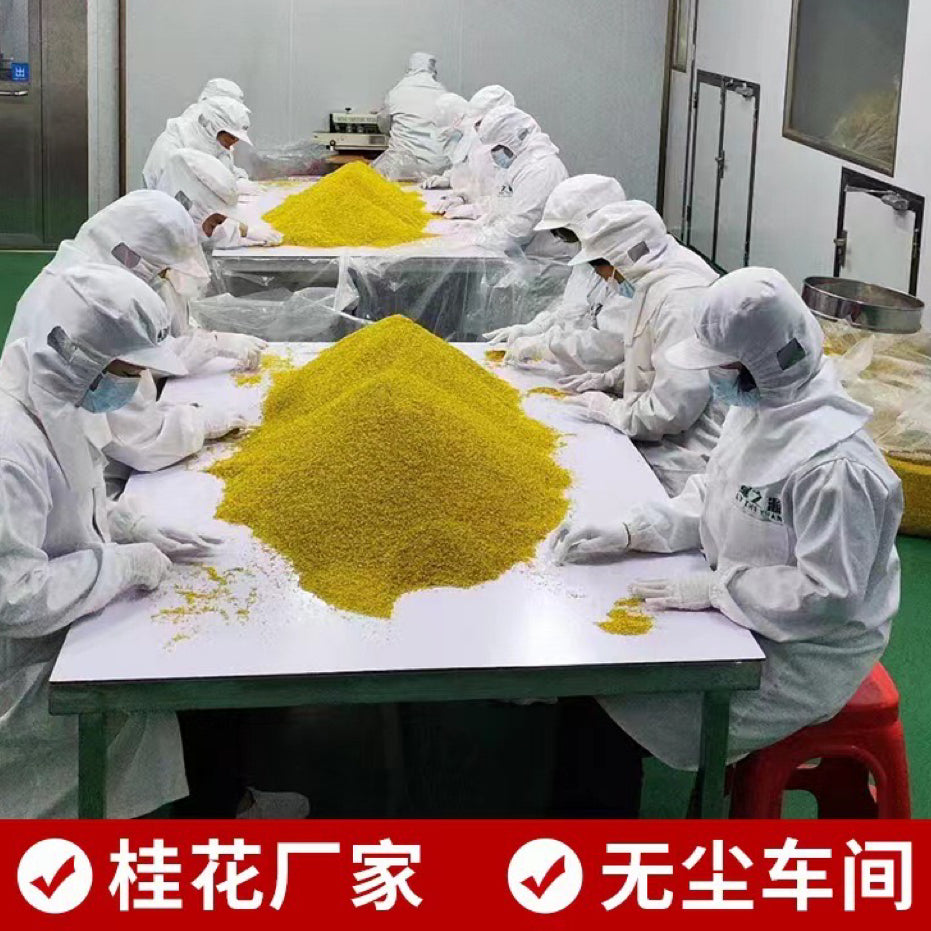 【桂林特产】100%天然无硫3A金桂花 人工挑选当季百年老树飘香泡水祛痰止咳、行气止痛、祛口臭、活血化瘀