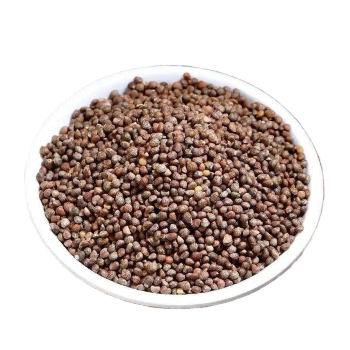 紫苏子16oz 降气消痰、止咳平喘、润肠通便 亚洲商店11