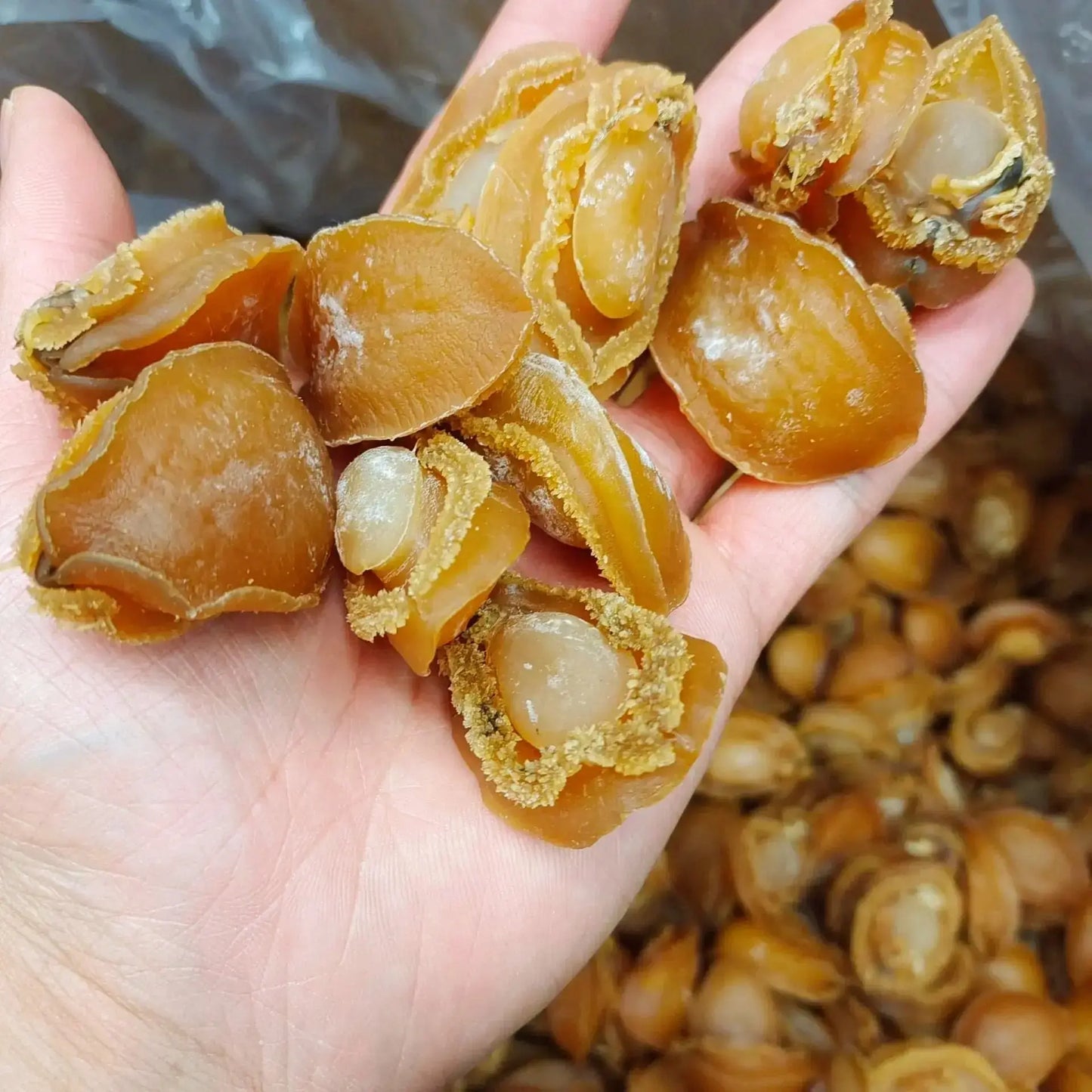 特级鲍鱼60头干货16oz 亚洲商行11