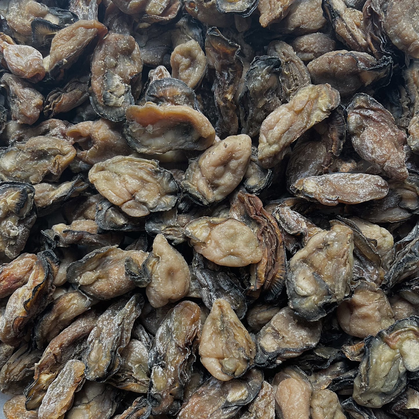 台山靓蚝豉16oz生晒淡干 广东台山特产海味干货 渔家自晒足干 广东台山
