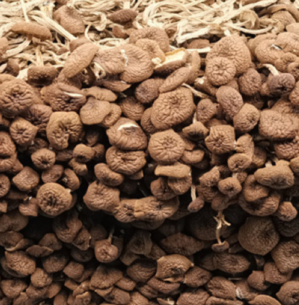 云南深山特产茶树菇4.5oz清肠降醇暖胃消肿利尿造血等 亚洲商店11