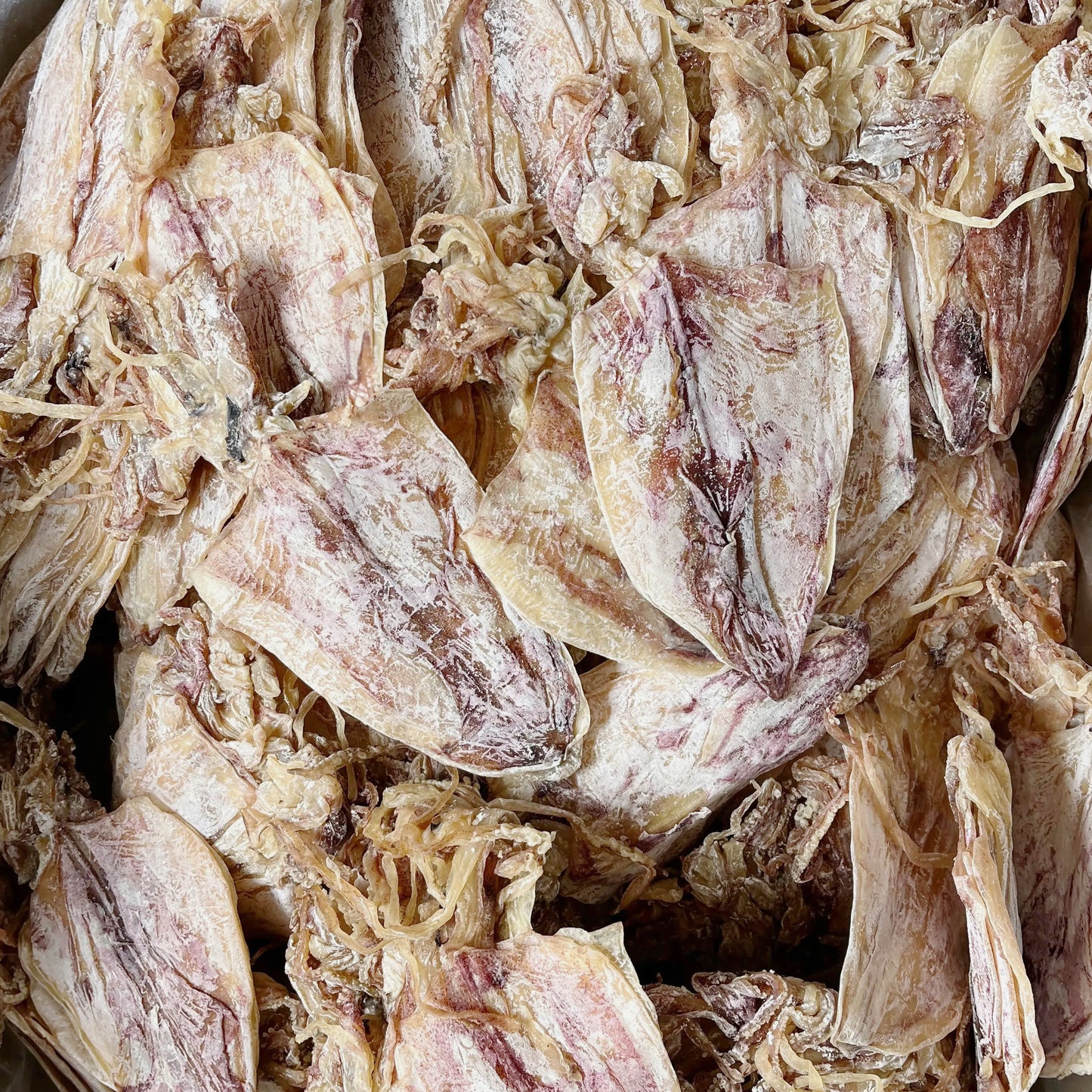 渔家自晒鱿鱼干16oz土鱿魚淡干海味干货 亚洲商店11