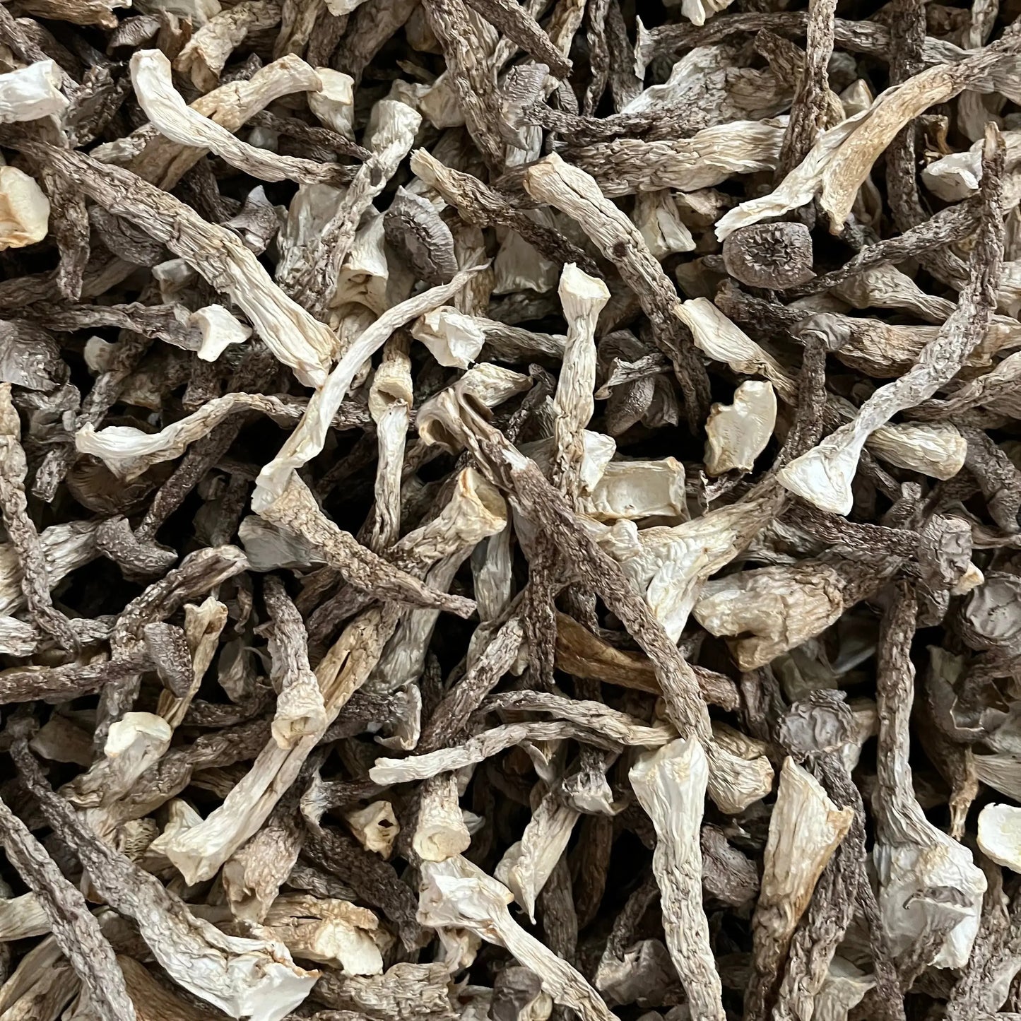 福建菌菇之乡古田特产鹿茸菇新鲜脆嫩爽口无沙新货煲汤食材8oz 亚洲商店11