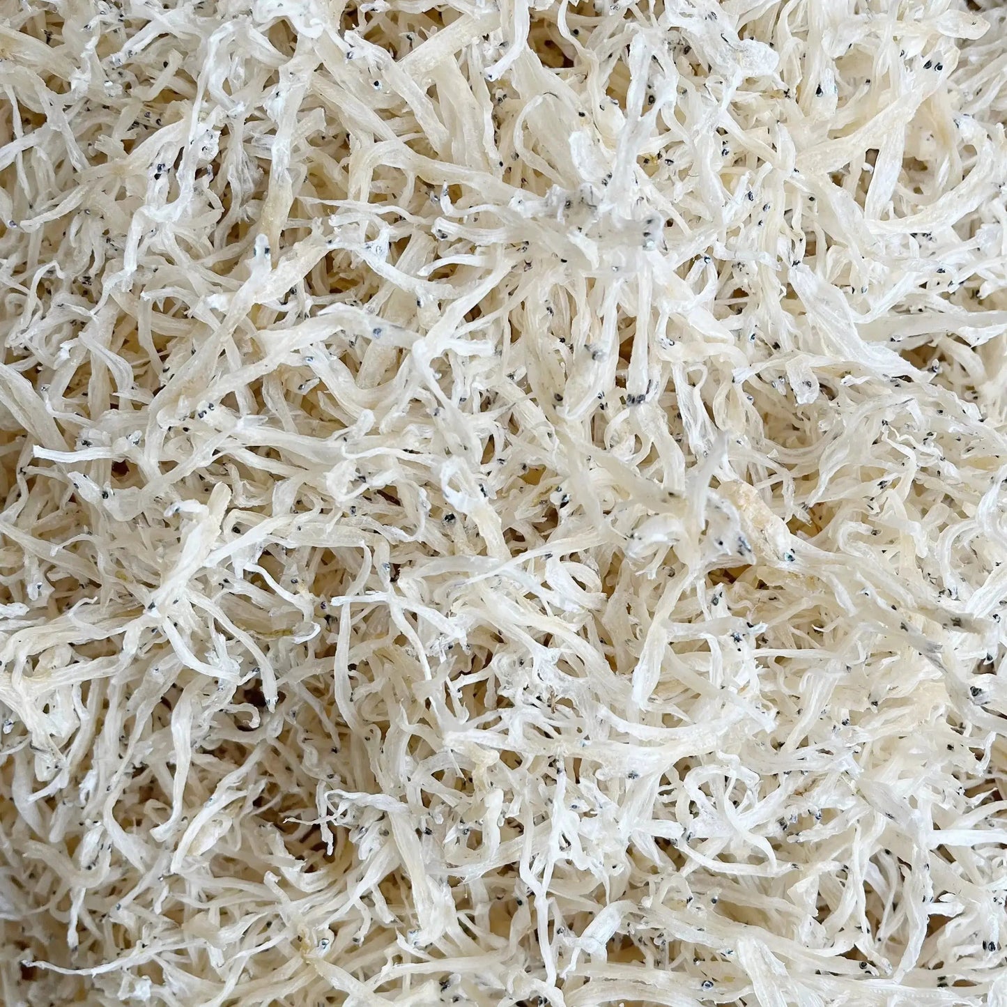 新晒淡干无盐幼银鱼干4oz宝宝最爱健康食品 广东台山特产海味干货 台山广海