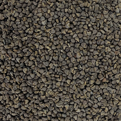 冬葵子 通便利尿、止咳利咽、通乳