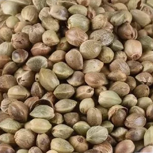 中药材火麻仁16oz泡茶润肠通便、滋阴、补虚、润燥 亚洲商店11