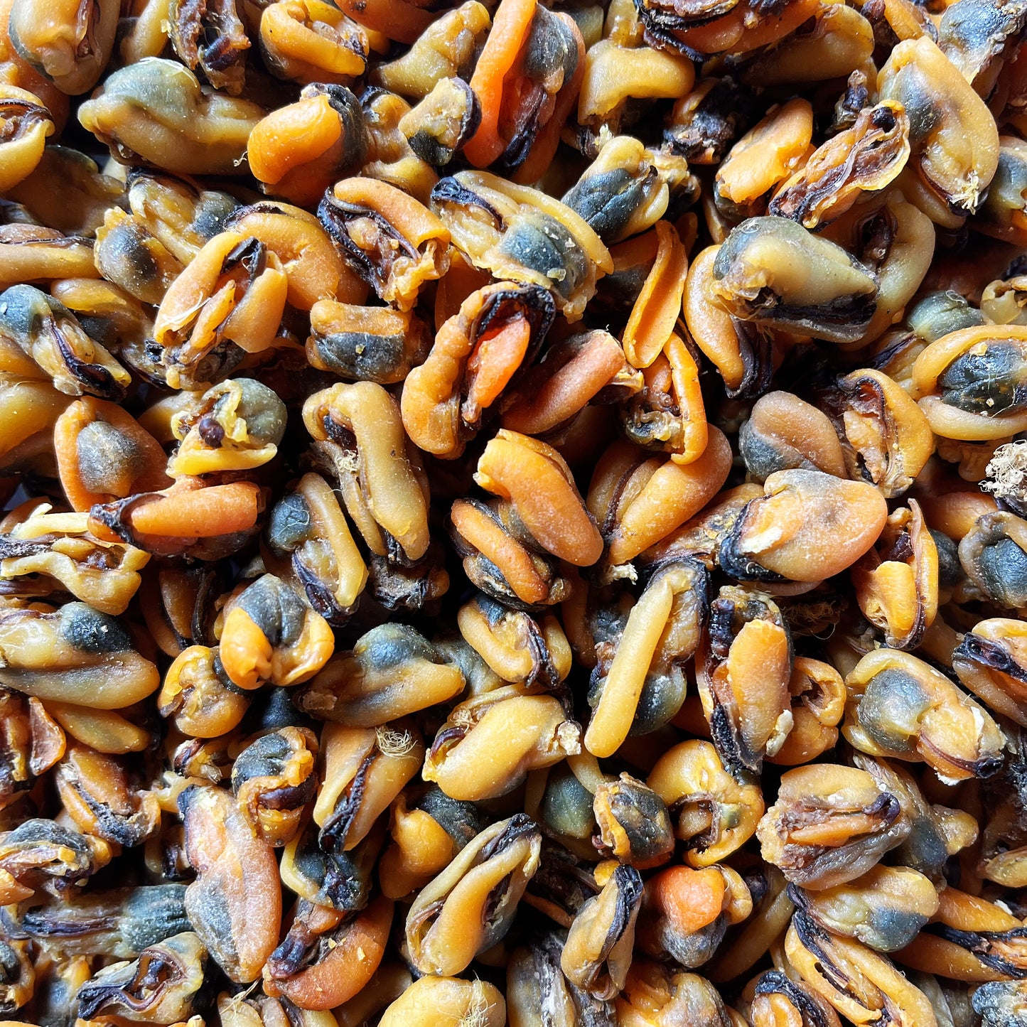 广东台山生晒淡菜16oz野生青口贝海味干货 亚洲商店11