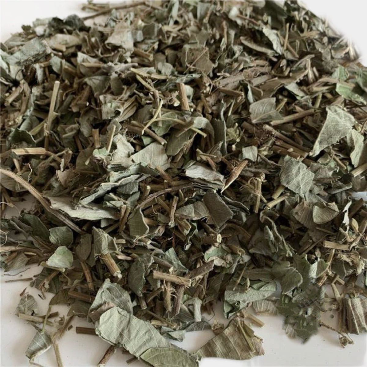 天然广金钱草 清热利湿,利尿通淋等