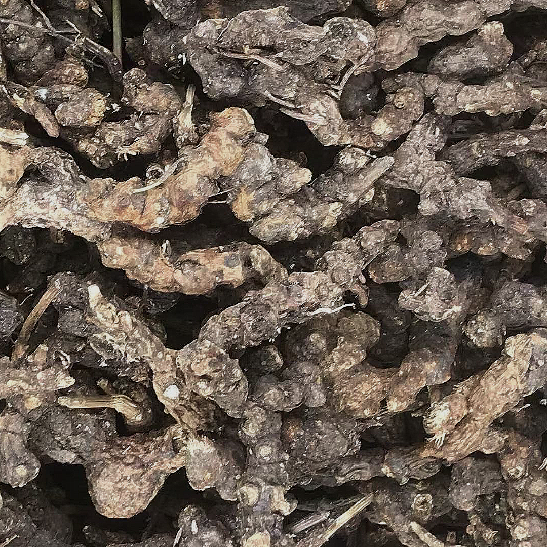 中药材 内蒙北苍术16oz 燥湿健脾、祛风散寒 明目镇静 亚洲商店11