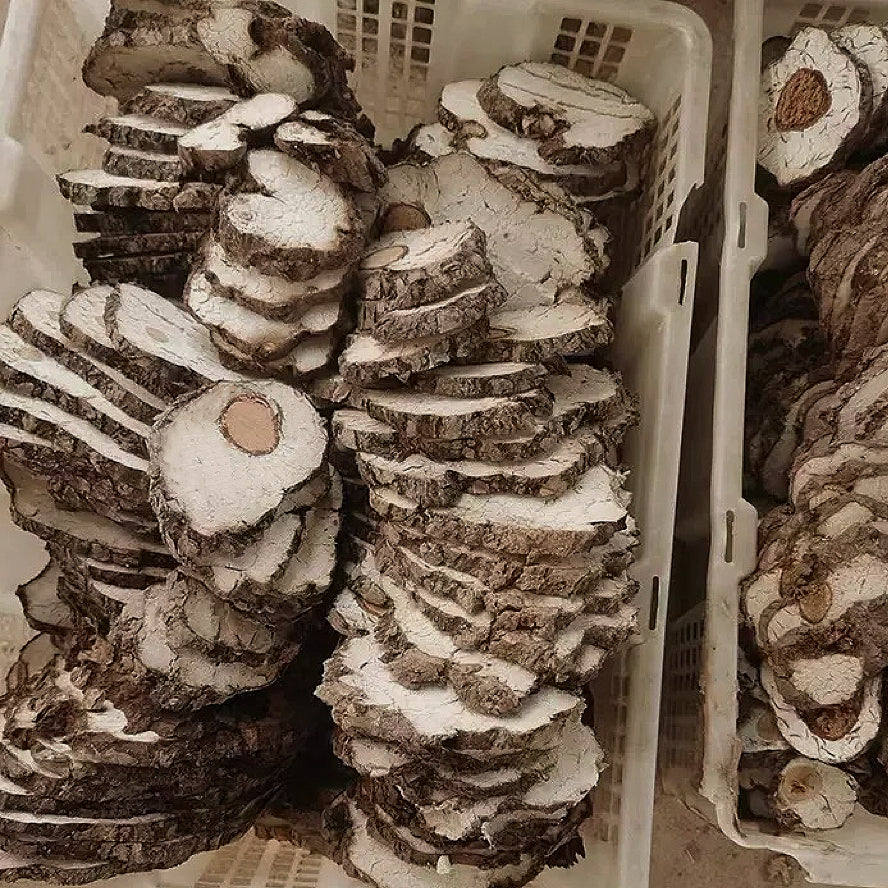 100%纯野生抱木茯神8oz 宁心、安神、利水 亚洲商店11