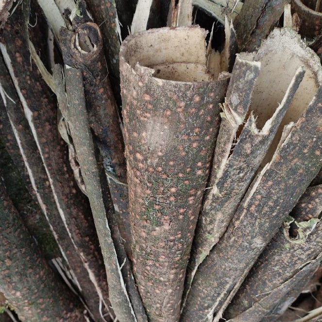 天然野生合欢皮 解郁安神、活血化淤、消肿止痛