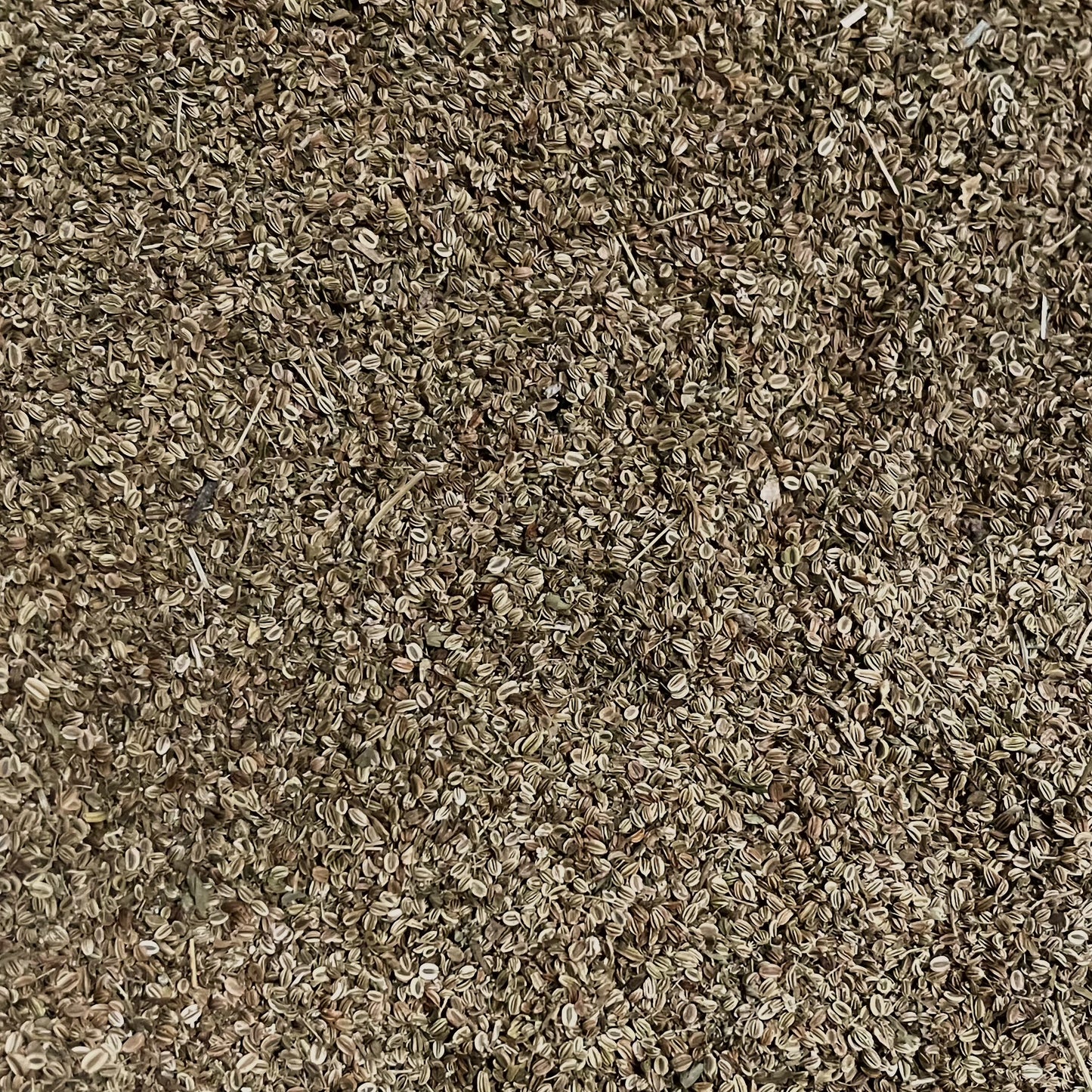 天然蛇床子 祛湿止痒、温肾壮阳、延缓衰老