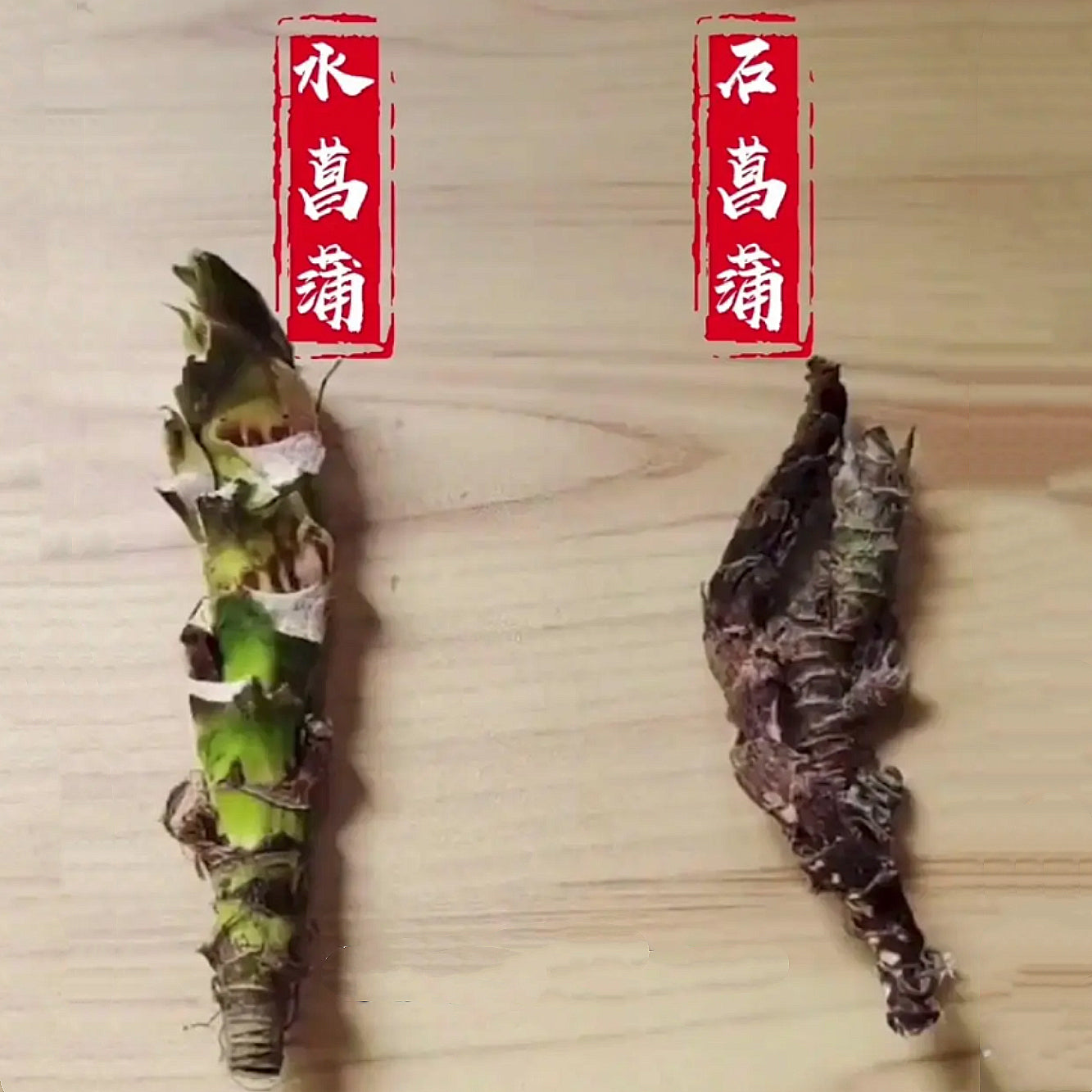 野生石菖蒲 泡水开窍豁痰、醒神益智、化湿开胃 亚洲商店11