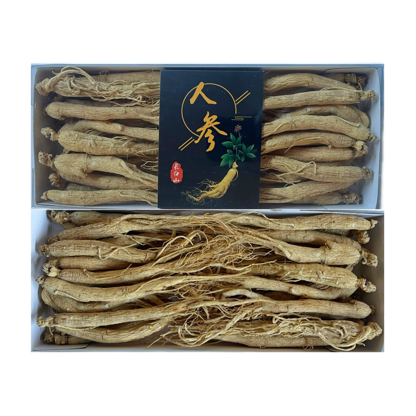 东北特产 长白山生晒人参8oz盒30支泡茶泡酒煲汤延年益寿、大补元气、改善心脏功能、健脾益肺 亚洲商店11