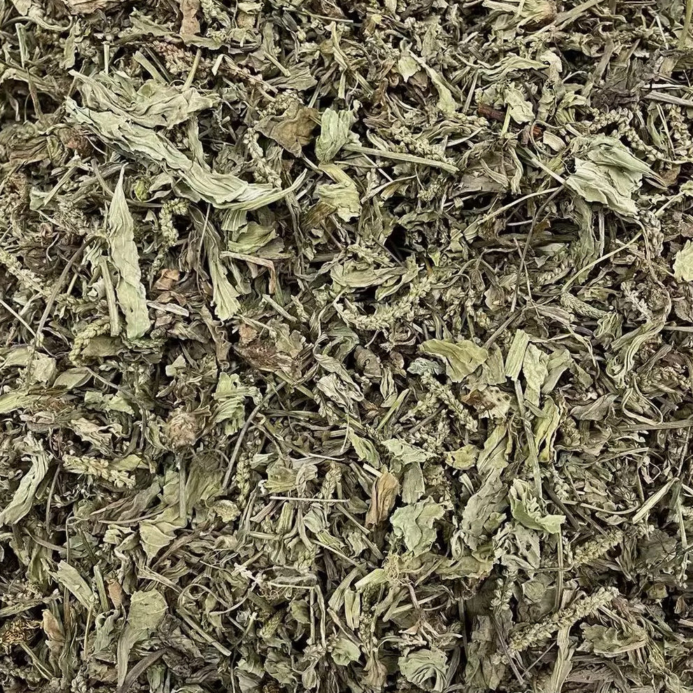 野生车前草/牛舌草 煲汤泡水清肝明目、利尿消肿 亚洲商店11