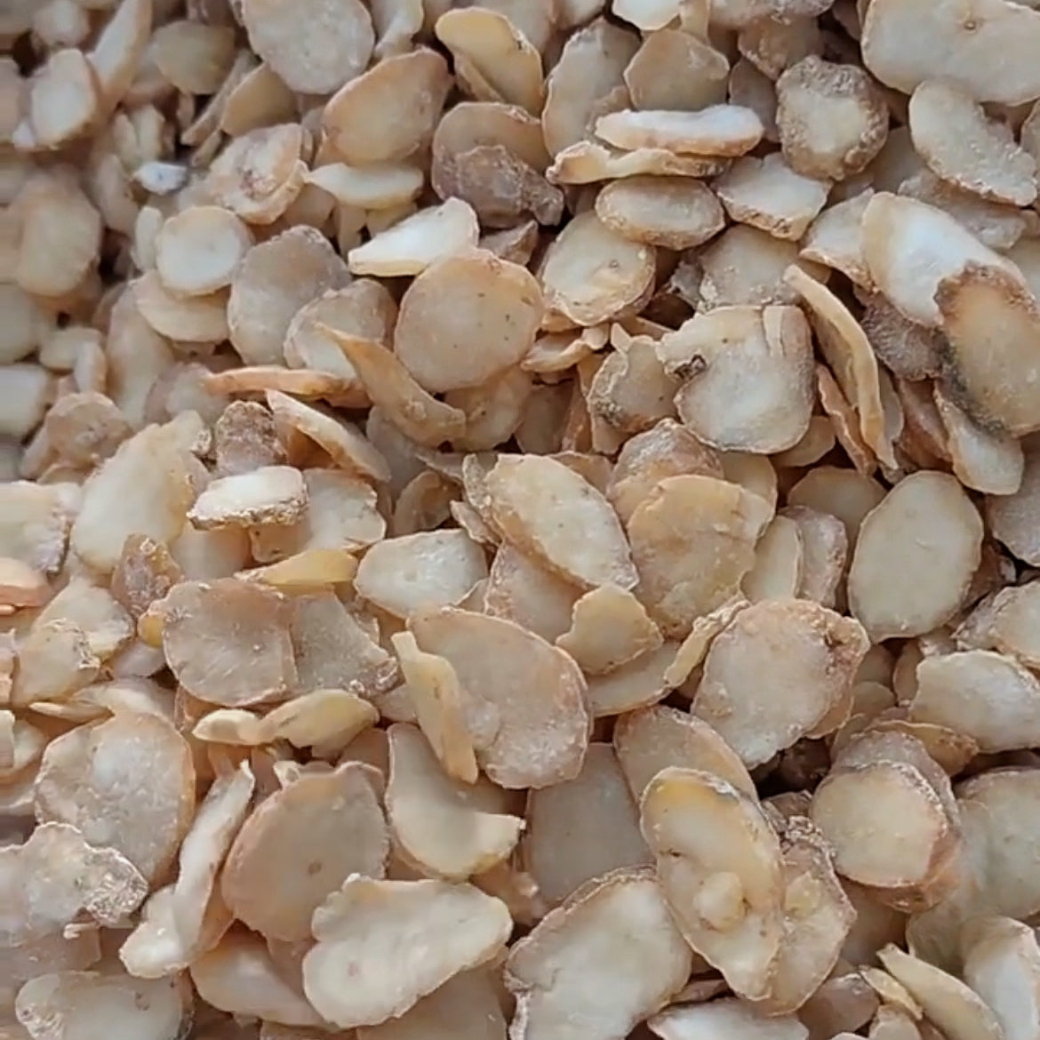 姜水半夏/制水半夏具燥湿化痰、解毒消肿、止血等