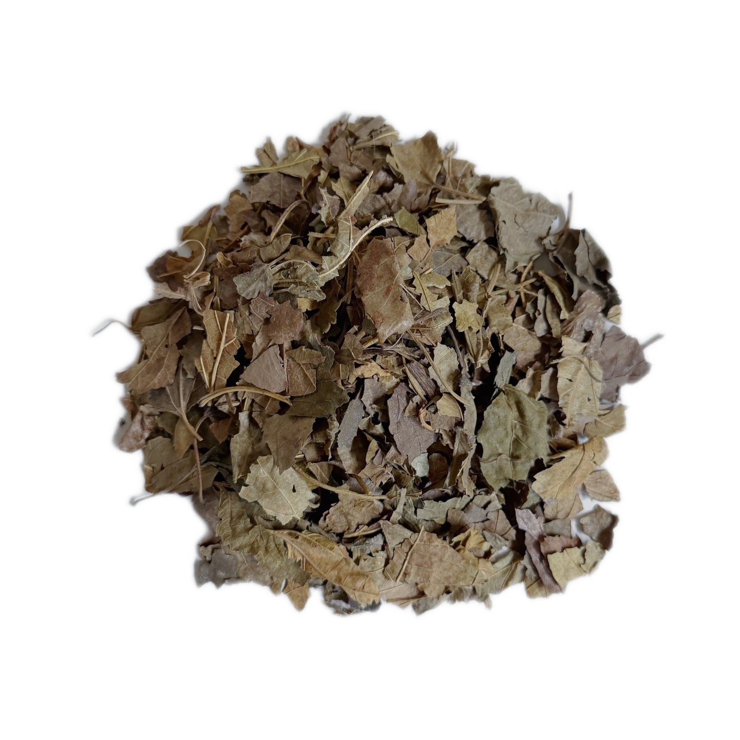 中药材霜桑叶 疏散风热,清肺润燥,平肝明目