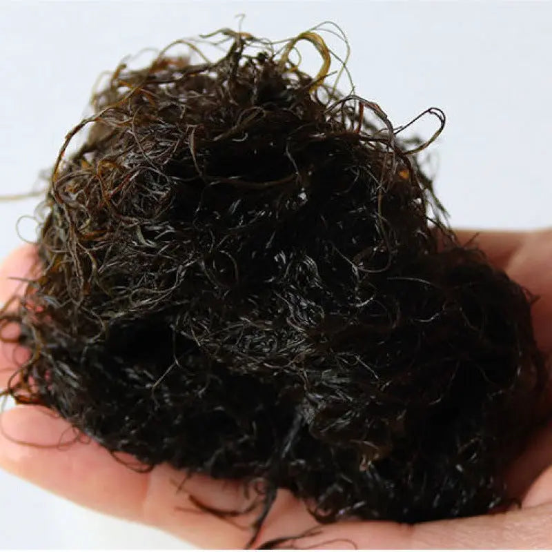 广东台山侨乡特产发菜100克/3.53oz【包靓包发】龙须菜发财菜发菜猪手发财汤发财菜淡干水产干货 asianstore11