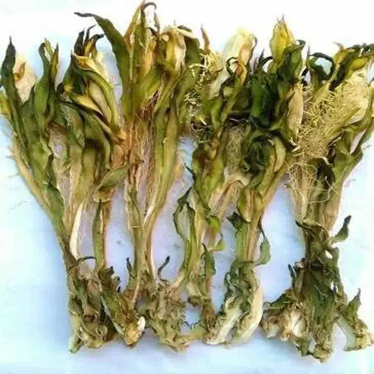 广东特产汤料特级霸王花菜干剑花新货产地直供16oz asianstore11