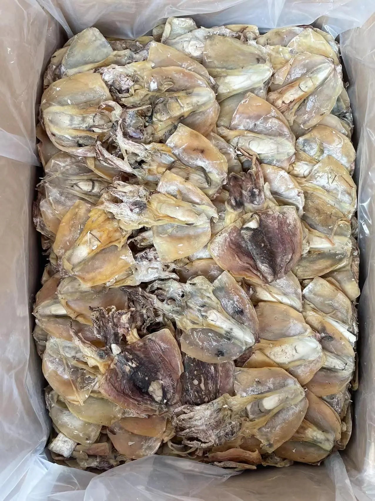 广东台山侨乡特产海味干货广海港渔家自晒墨魚干16oz特价促销 台山广海