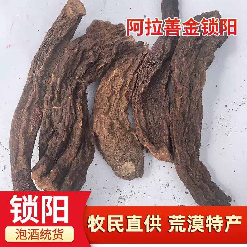 阿拉善野生锁阳 补肾壮阳 润肠通便 亚洲商店11