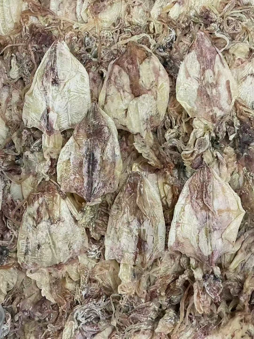 本港渔家鱿鱼/淡干无盐海味干货精选 亚洲商店11