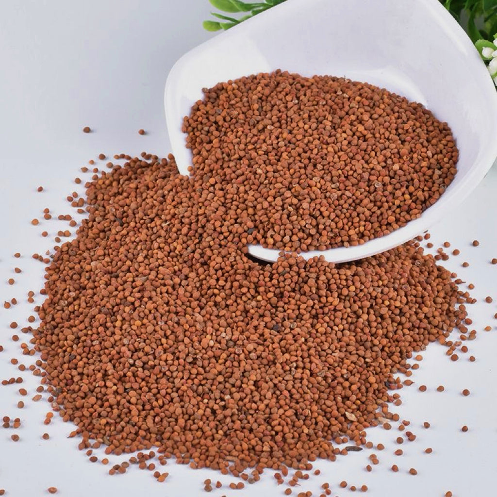 天然楮实子 补肾助阳、清肝明目、抗氧化