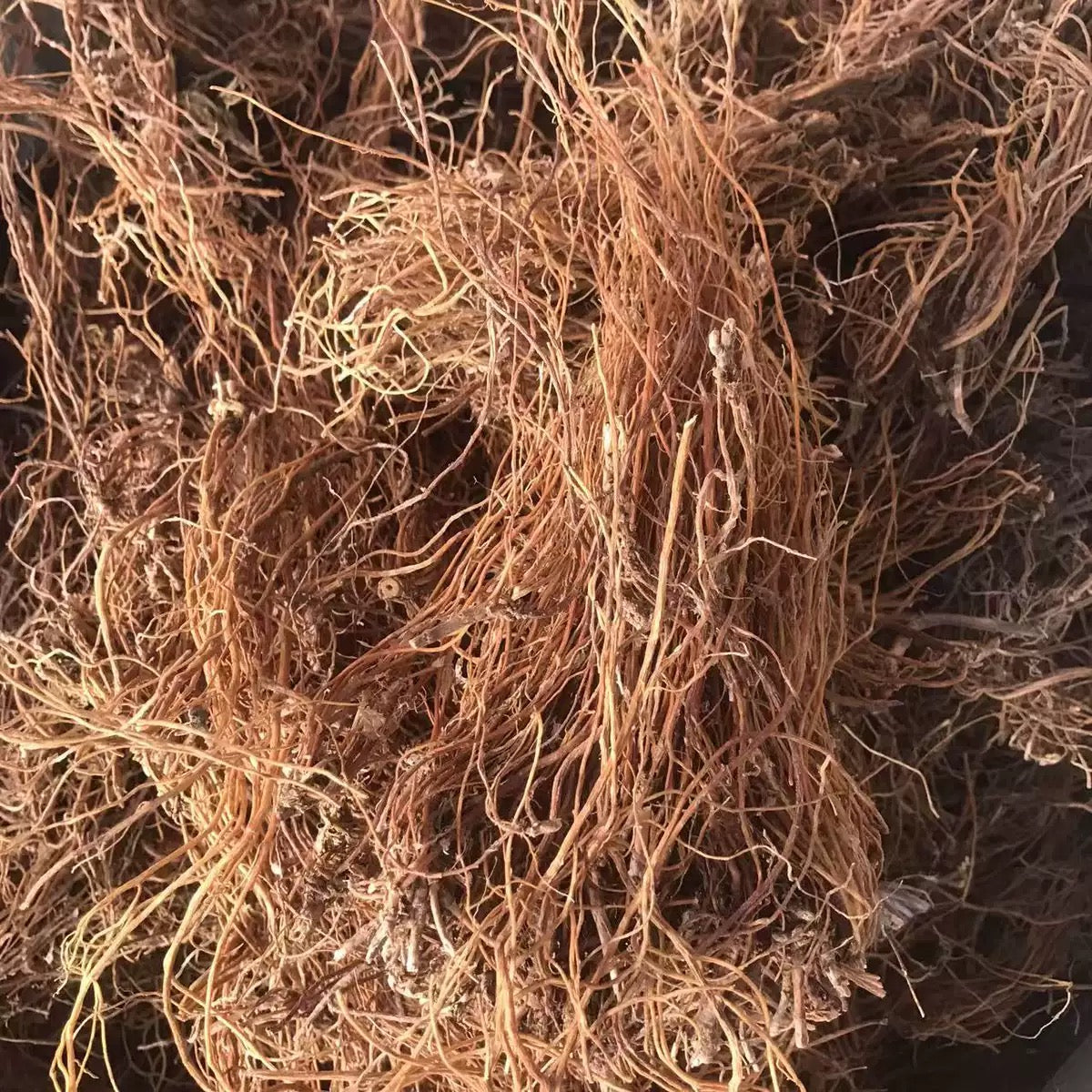 龙胆草 清热燥湿，泻肝胆火、抗菌消炎