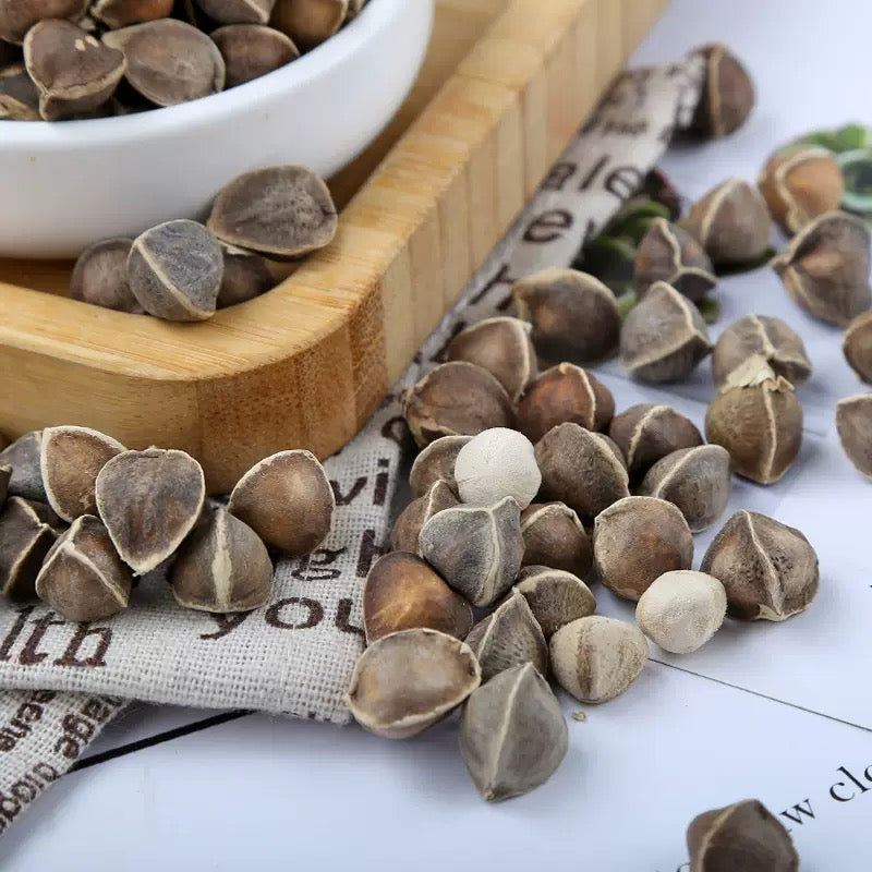 Hạt chùm ngây tự nhiên – chống oxy hóa, hỗ trợ giảm cao huyết áp, đường huyết và mỡ máu, lợi tiểu, giảm sưng phù
