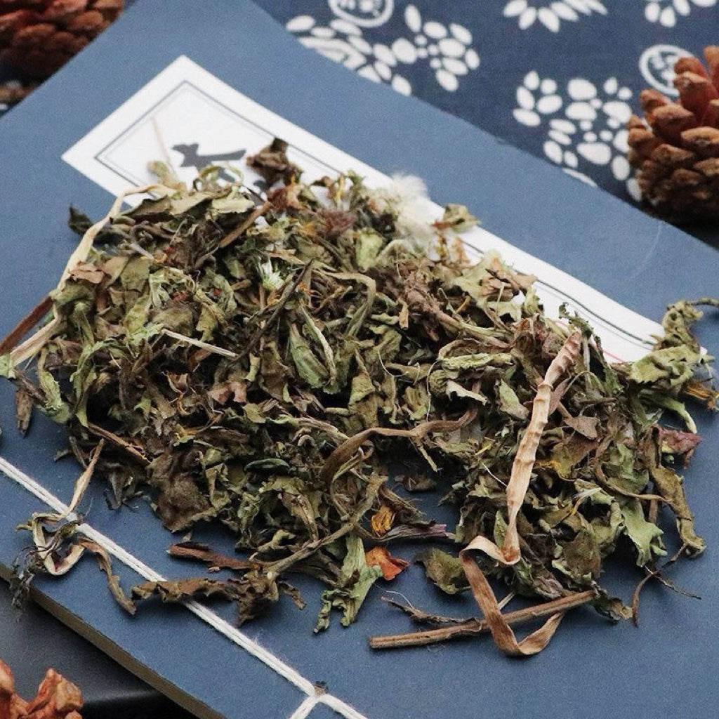 天然蒲公英 清热解毒，消肿散结，保肝利胆