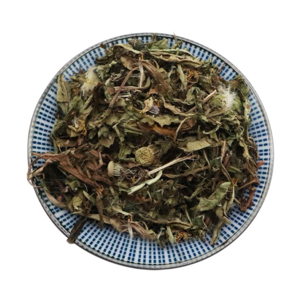 天然蒲公英 清热解毒，消肿散结，保肝利胆