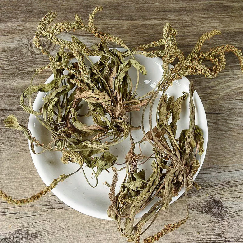 野生车前草/牛舌草 16oz 煲汤泡水清肝明目、利尿消肿 亚洲商店11