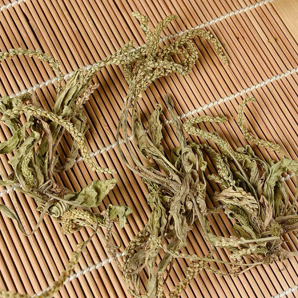 野生车前草/牛舌草 16oz 煲汤泡水清肝明目、利尿消肿 亚洲商店11