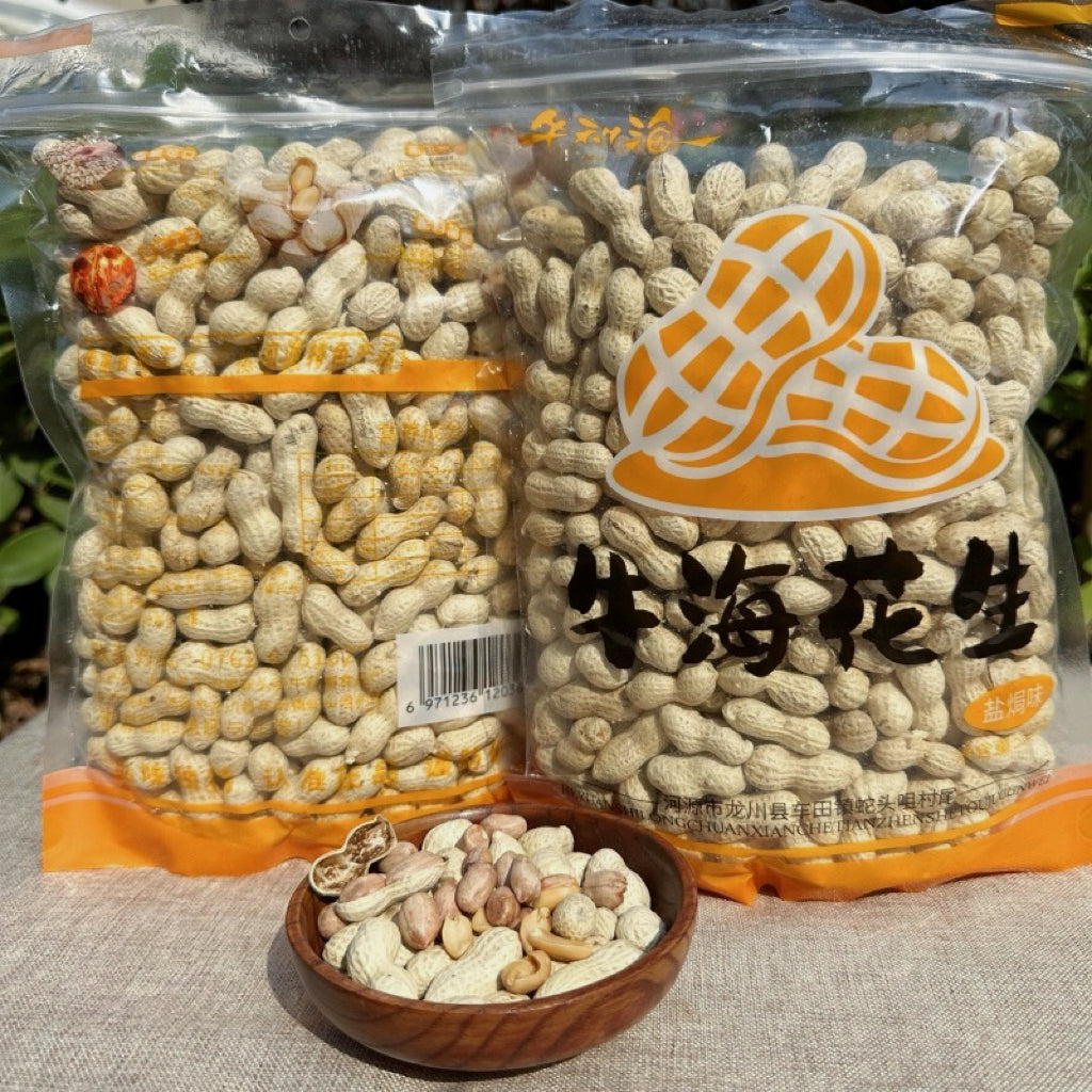 河源车田特产牛海花生500g 颗粒饱满 香脆可口 传统柴火沙炒盐焗