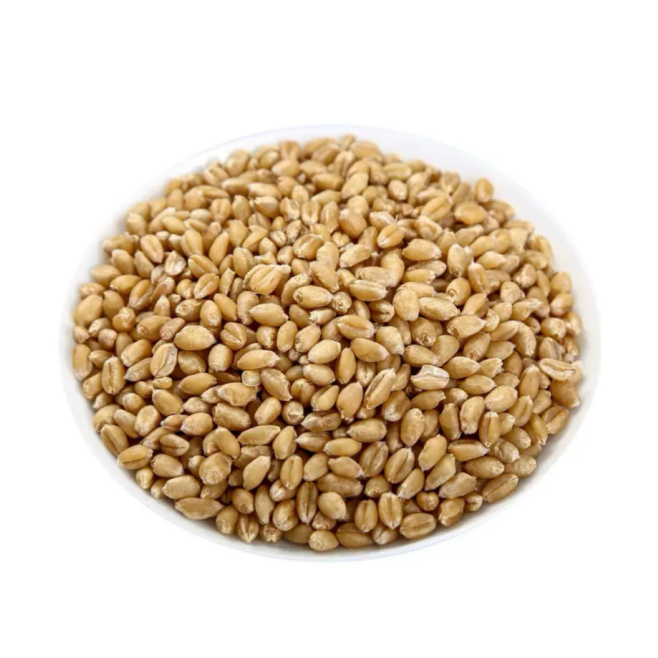 精选道地淮小麦 养心安神、益气养阴、健脾和胃、敛汗除蒸