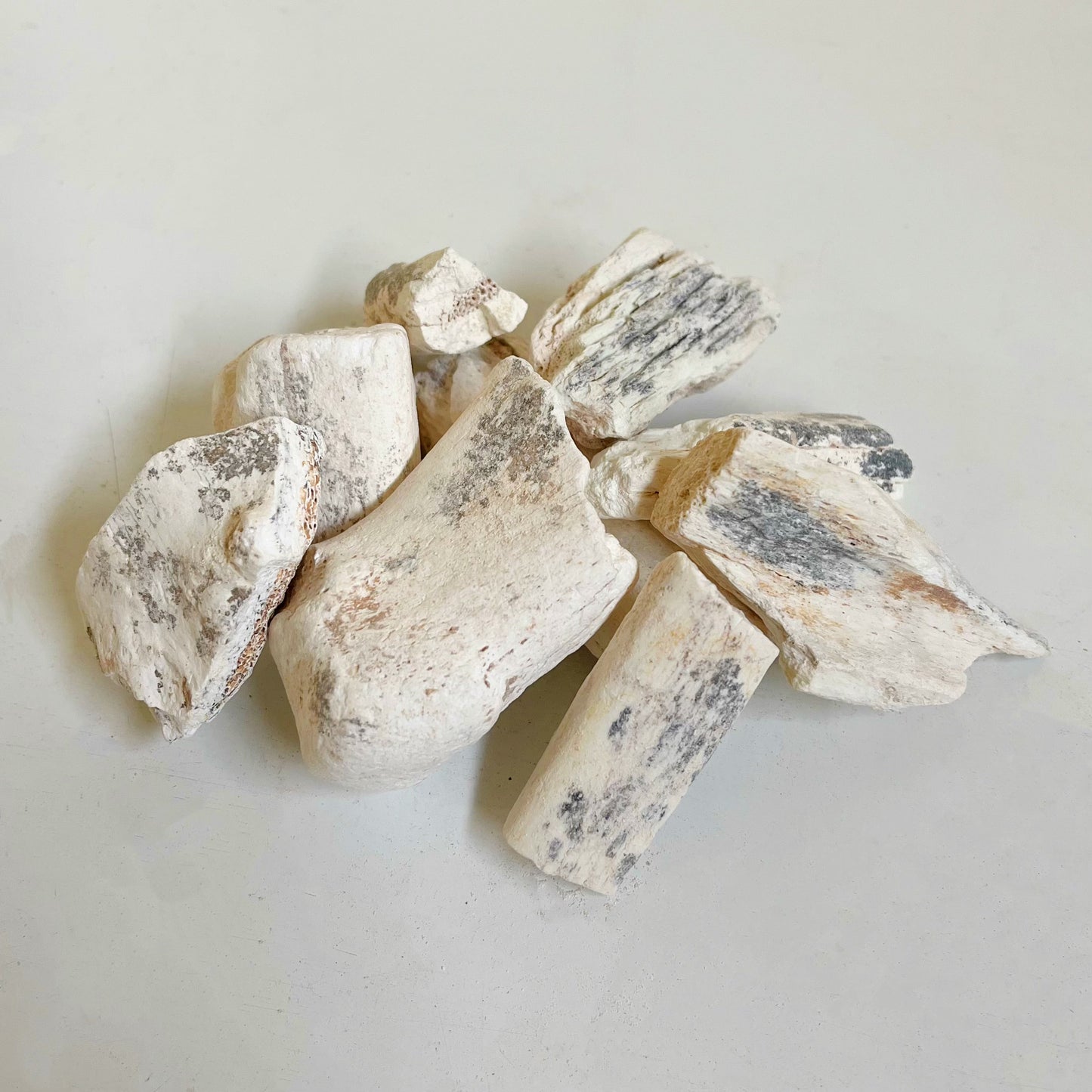 中药正品龙骨 镇惊安神、平肝潜阳、收敛固涩 asianstore11