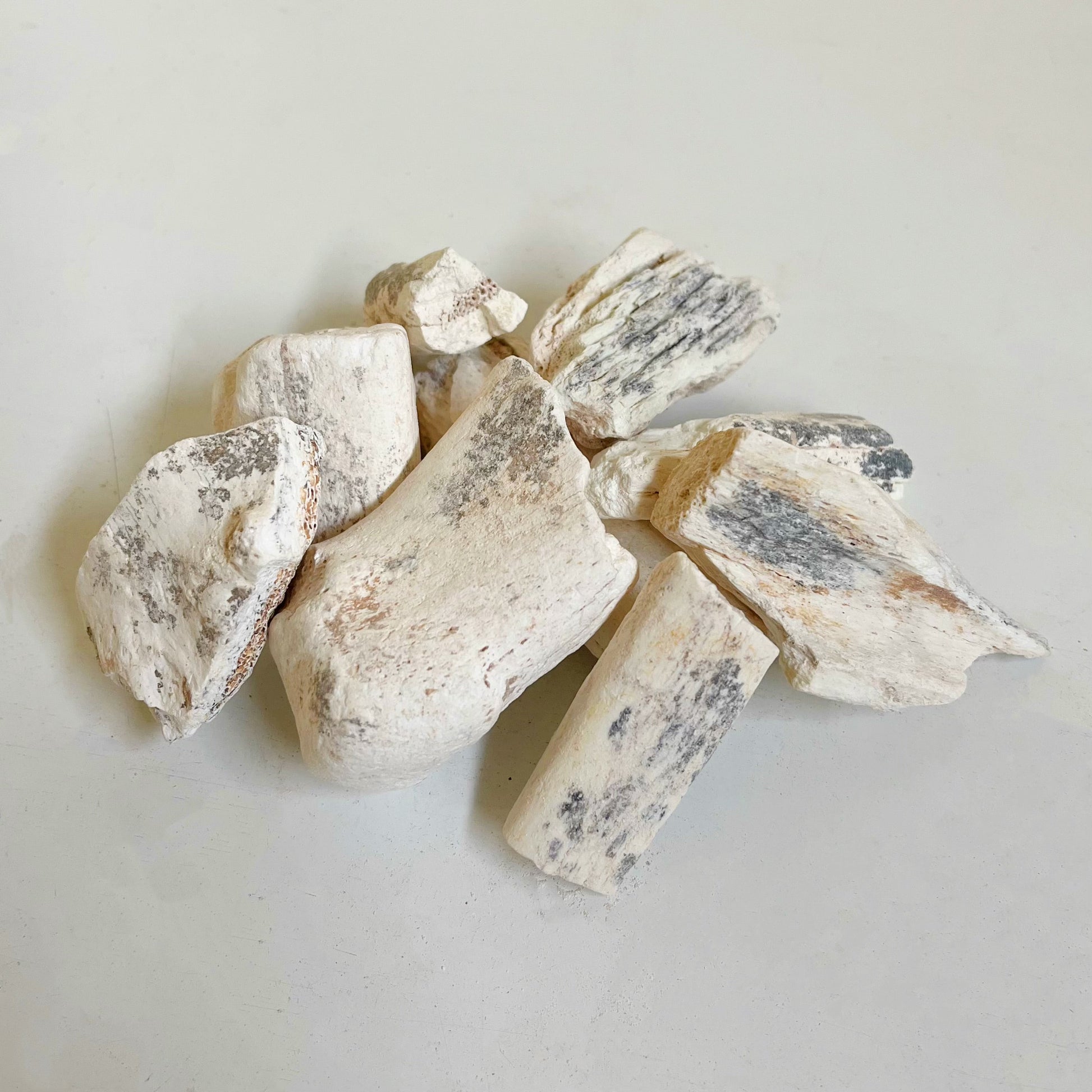 中药正品龙骨 镇惊安神、平肝潜阳、收敛固涩 asianstore11