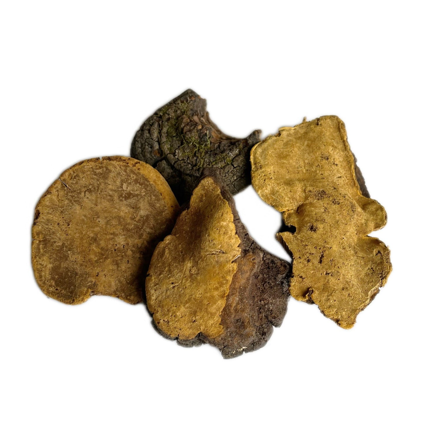 西藏野生岩桑黄 利五脏、活血化瘀、抗肿瘤、延缓衰老