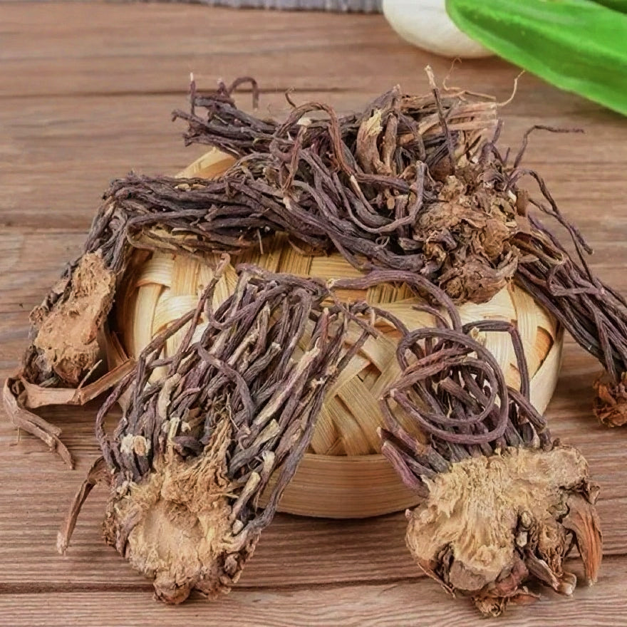 野生紫菀/返魂草 润肺下气、化痰止咳平喘 亚洲商店11